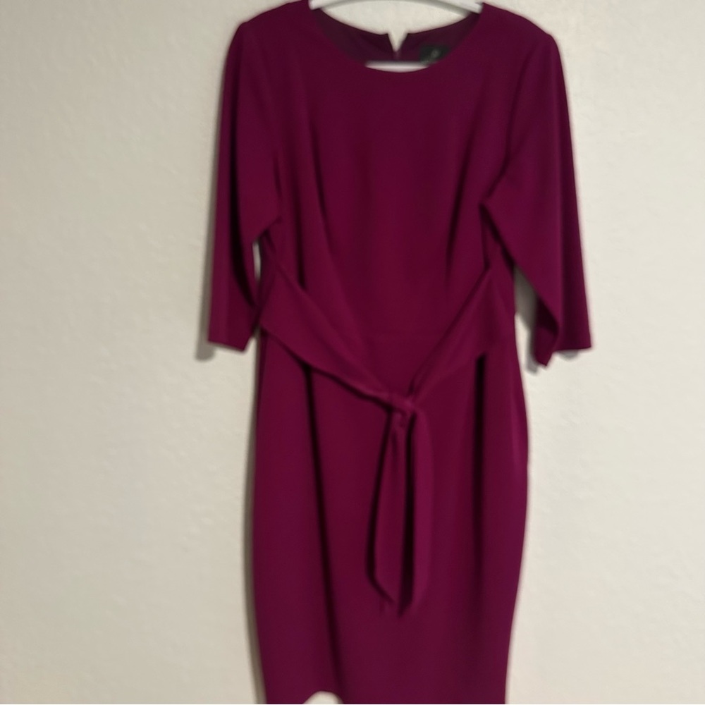 Adrianna Papell Fuchsia Long Sleeve Dress